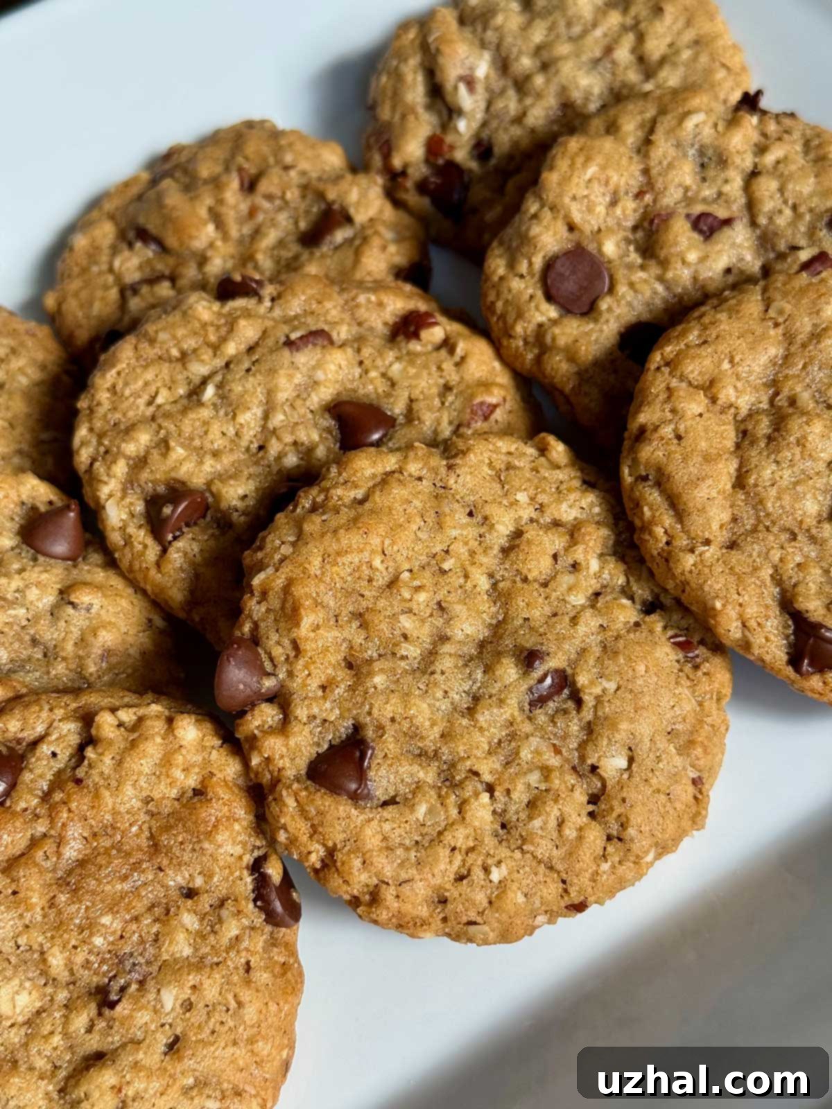 Vegan Cowboy Cookies or No-Egg Oatmeal Cookies piled high on a plate