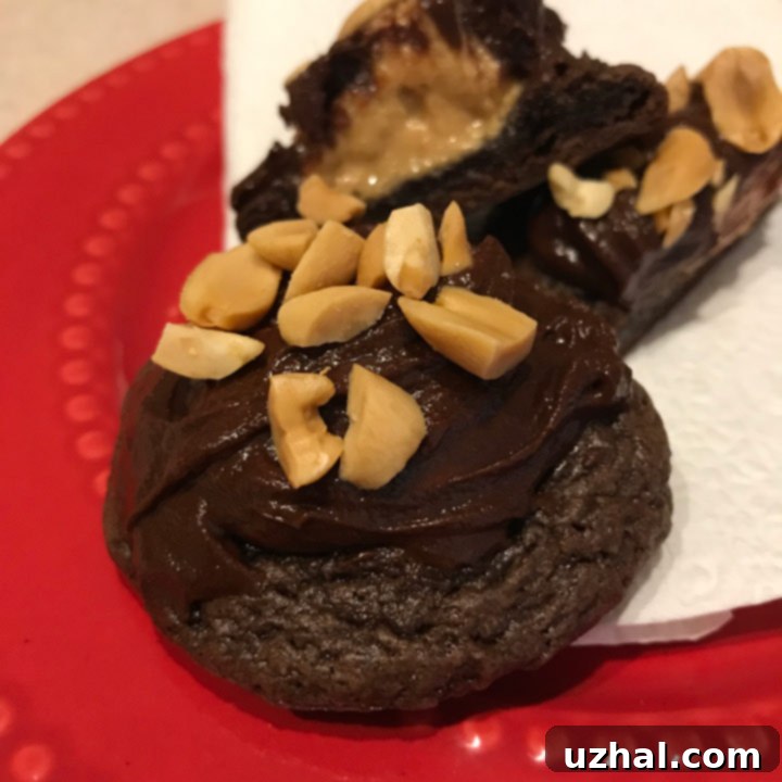 Delicious Fudgy Brownie Peanut Butter Cookies, inspired by the 2004 Pillsbury Bake-Off
