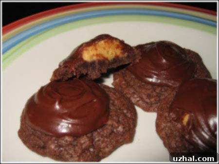 Close-up of a freshly baked brownie peanut butter cookie