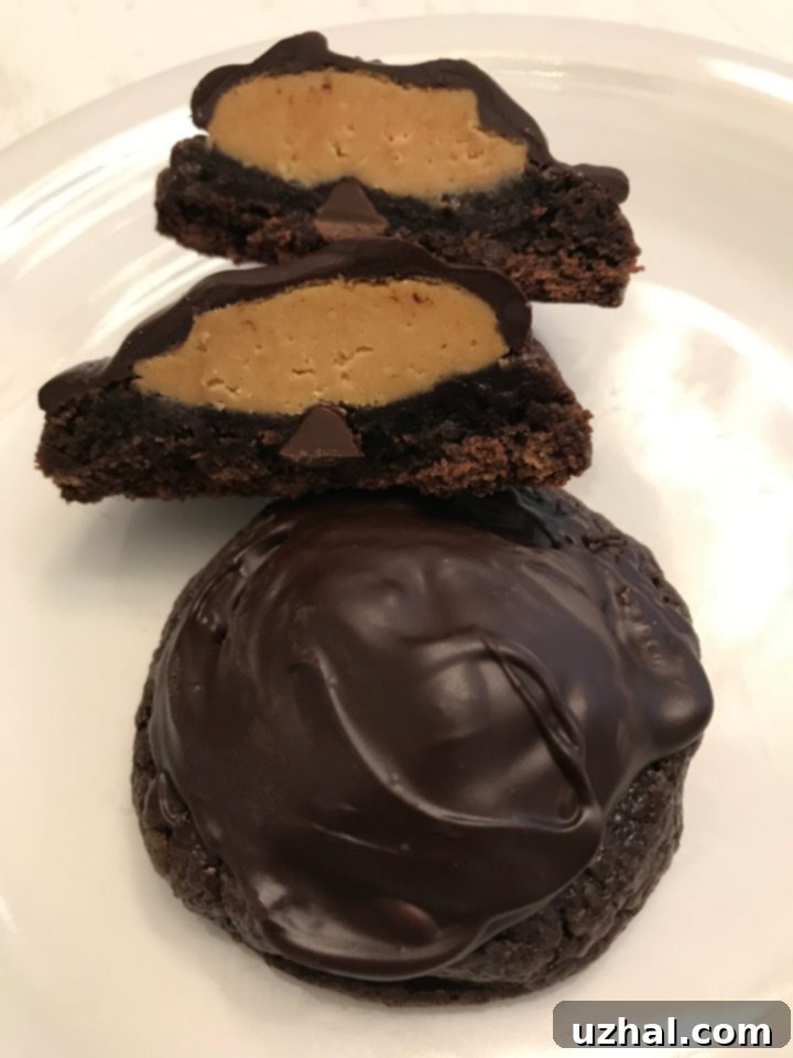 Brownie peanut butter cookies topped with melted dark chocolate squares