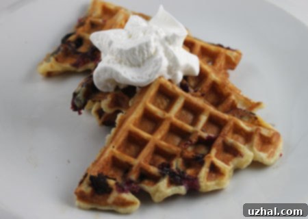 Blueberry Sour Cream Waffles