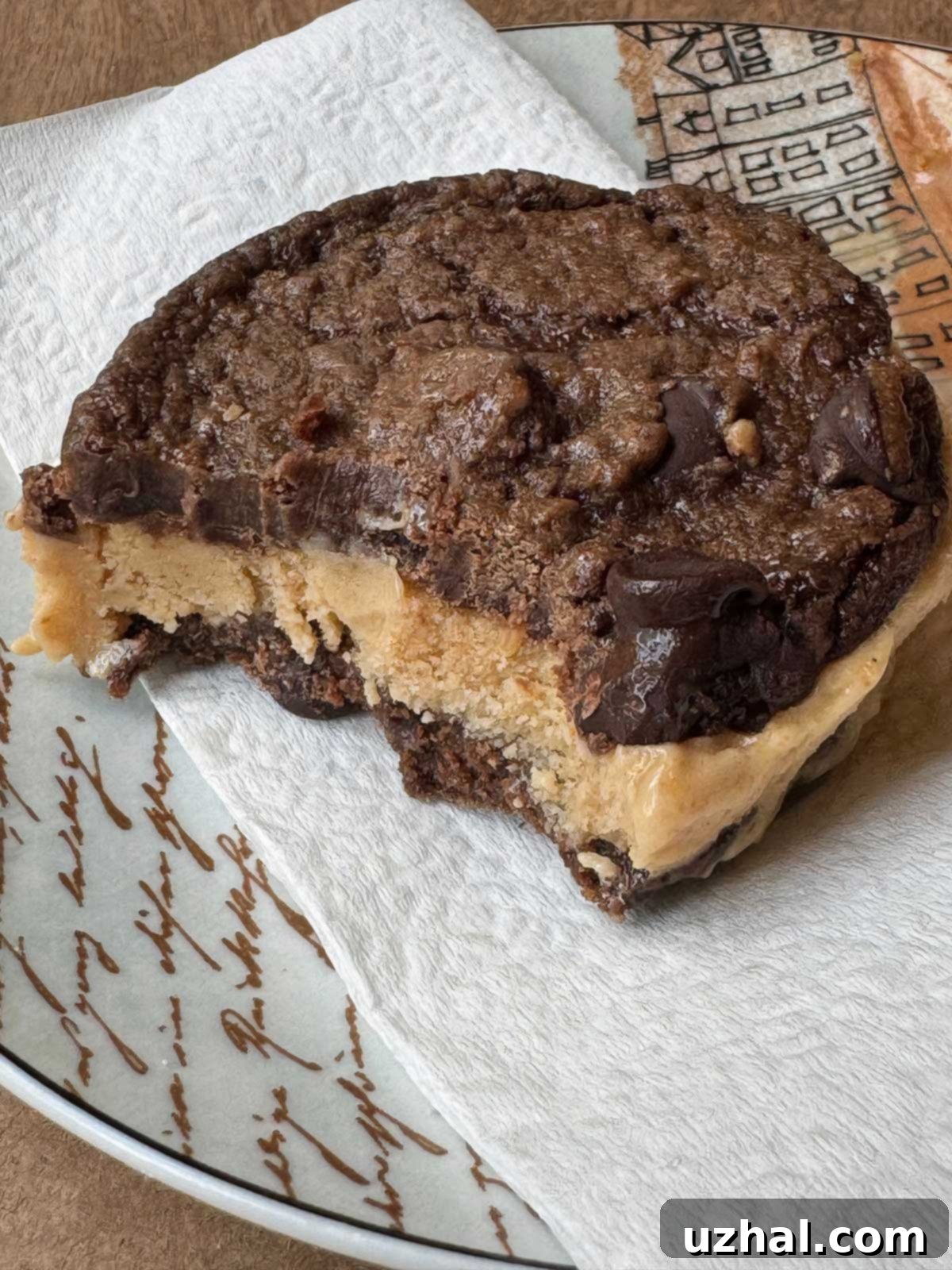 Soft and Chewy Vegan Double Chocolate Cookies, perfect for making decadent ice cream sandwiches due to their soft texture even when frozen.