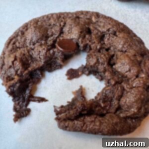 A fudgy, chewy, soft vegan double chocolate cookie made with Country Crock Homestyle Dairy Free Butter.