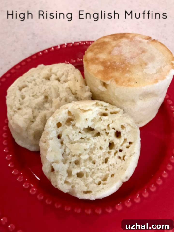 High Rising English Muffins - first successful batch