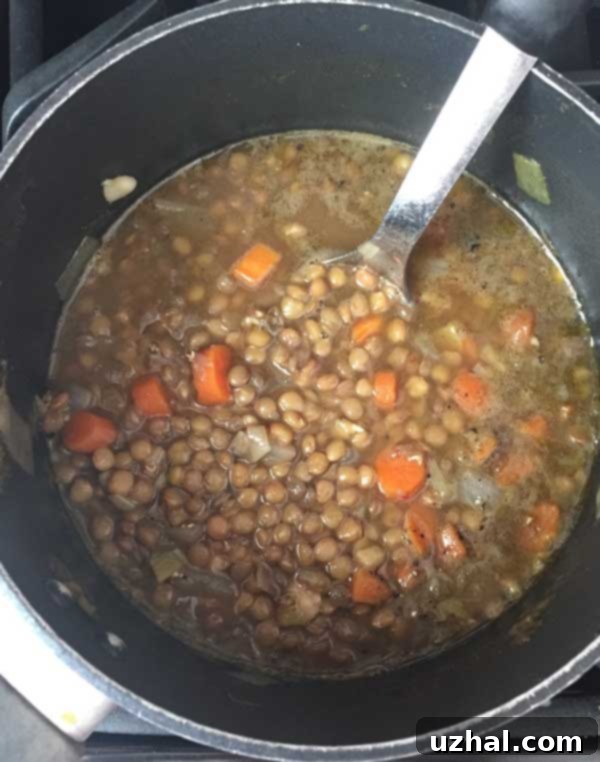 Fran Berman's Ginger and Lentil Soup recipe, a rich, warming dish