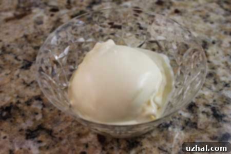 Vanilla Ice Cream