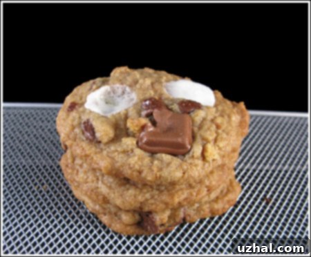 S'mores Chocolate Chip Cookies with a view of the dough and toppings