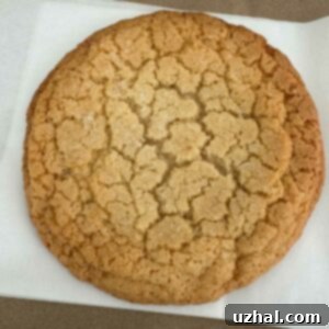 Potbelly Copycat Sugar Cookie