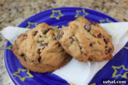 chocolate chip cookies with brown sugar