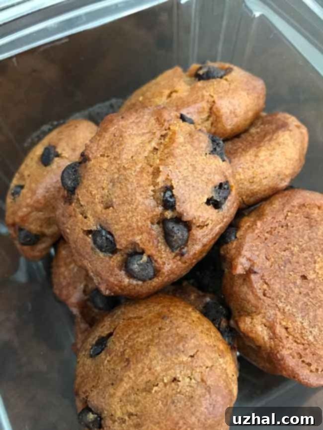 Kroger Pumpkin Chocolate Chip Cookies - A Taste Test