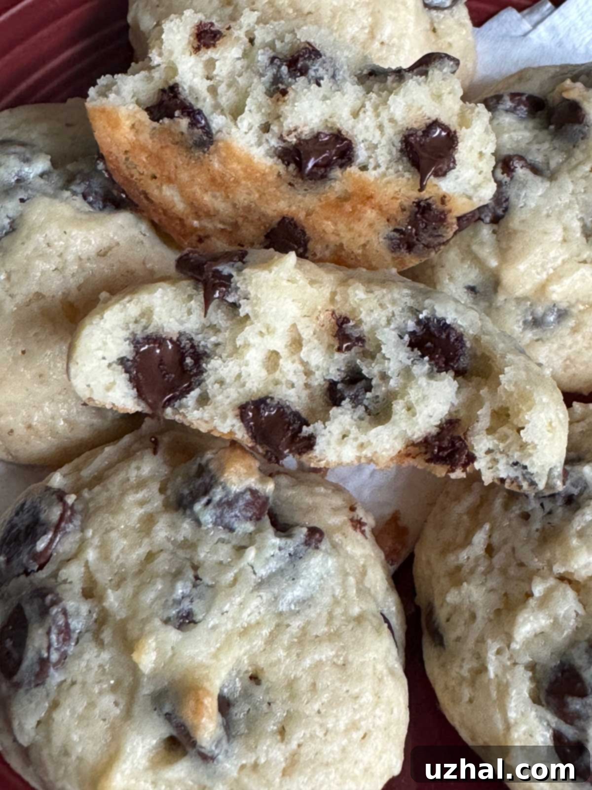 Luscious Sour Cream Chocolate Chip Cookies 2 Cakey textured chocolate chip cookies with a generous sprinkle of chocolate chips, highlighting their soft and fluffy interior.