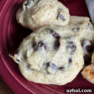Luscious Sour Cream Chocolate Chip Cookies 3 A warm, inviting image of Cindy's Sour Cream Soft Chocolate Chip Cookies, fresh from the oven.