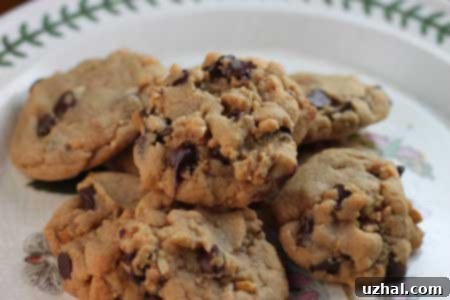 Whole Wheat Peanut Butter Cookies