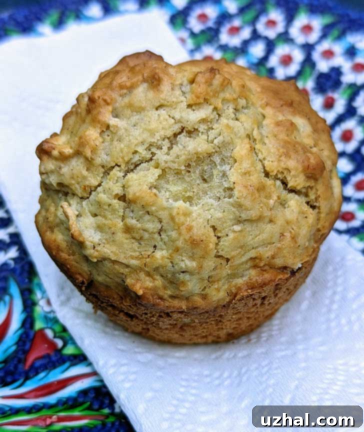 A freshly baked cooked oatmeal muffin, golden brown and perfectly domed.