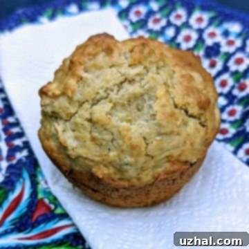 A close-up of a rustic cooked oatmeal muffin, showcasing its texture.