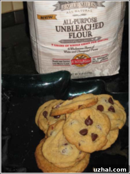 whole wheat chocolate chip cookies