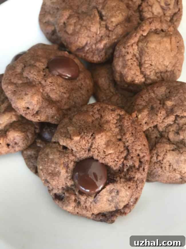 Close-up of baked German Chocolate Cookies with melted chocolate chips