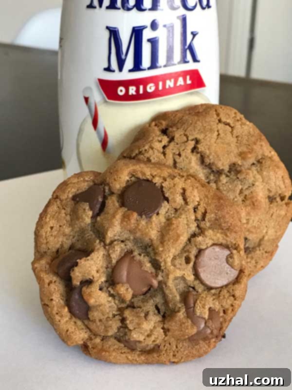 Malted Chocolate Chip Cookies