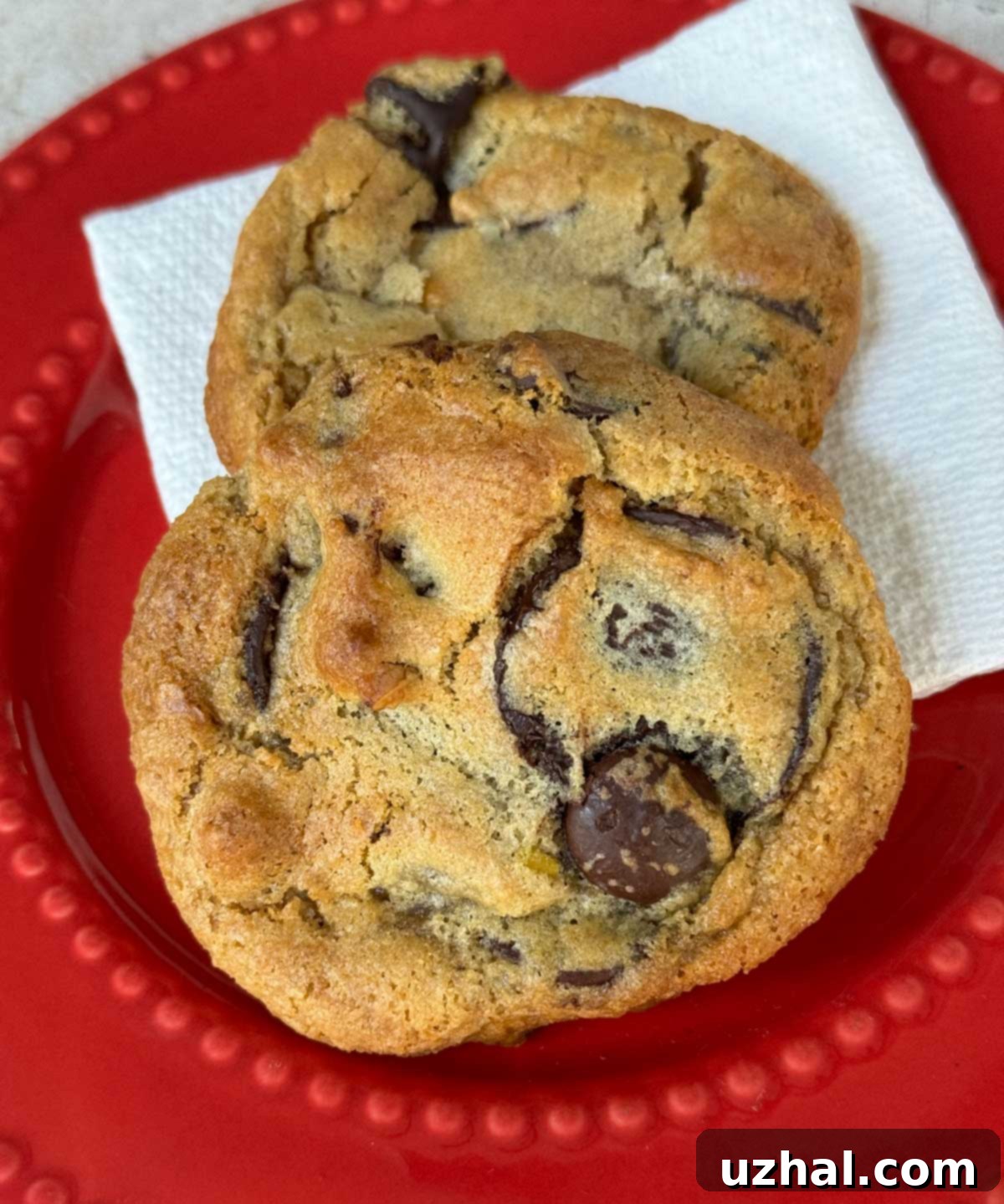 Gluten-Free Chocolate Chip Cookies recipe