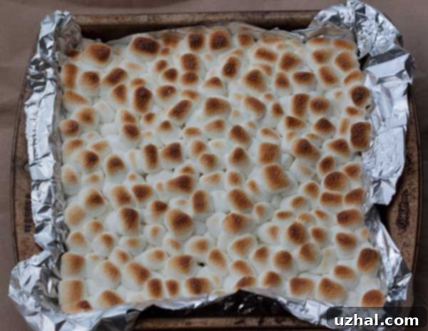 Irresistible 8 Inch Pan S'mores Brownies with toasted marshmallows