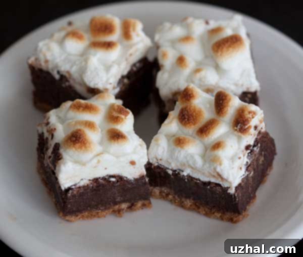 Close-up of a perfectly baked 8 Inch Pan S'mores Brownie slab