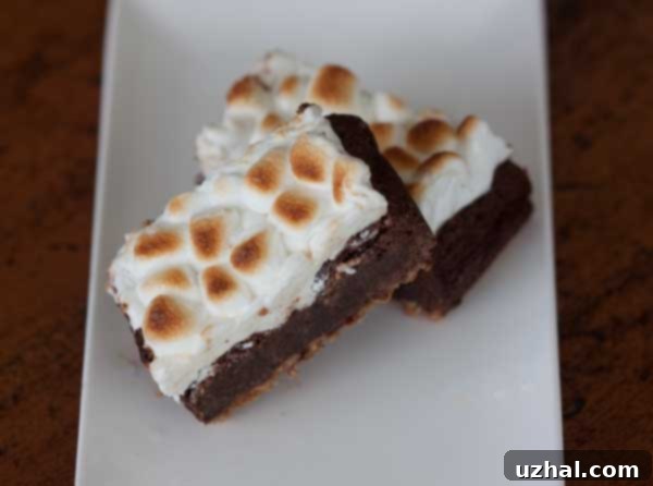 Sliced 8 Inch Pan S'mores Brownies showing layers