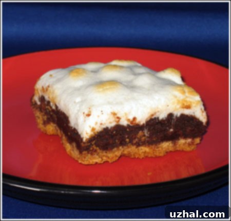 Old photo of s'mores brownies