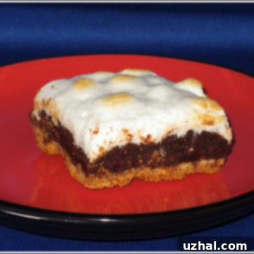Decadent 8 Inch Pan S'mores Brownies with a fluffy marshmallow topping