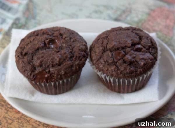 Close-up of freshly baked Chocolate Fiber Muffins made with Fiber One cereal, showcasing their rich color and inviting texture.