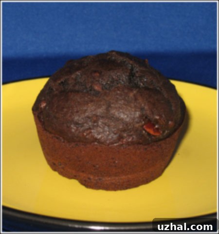 Freshly baked chocolate muffin showing a close-up of its rich, moist interior and visible fiber cereal pieces.