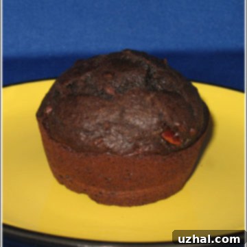 A perfectly baked Chocolate Fiber Muffin with a sprinkle of chocolate chips on top.