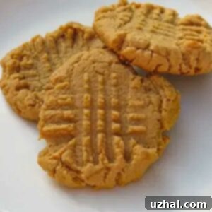 Close-up of baked vegan peanut butter cookies with criss-cross pattern