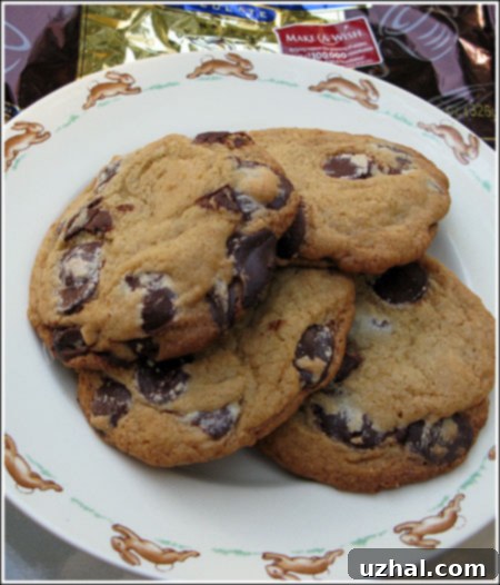 large chocolate chip cookies from Desserts by the Yard