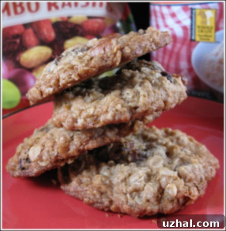 small batch oatmeal raisin cookies