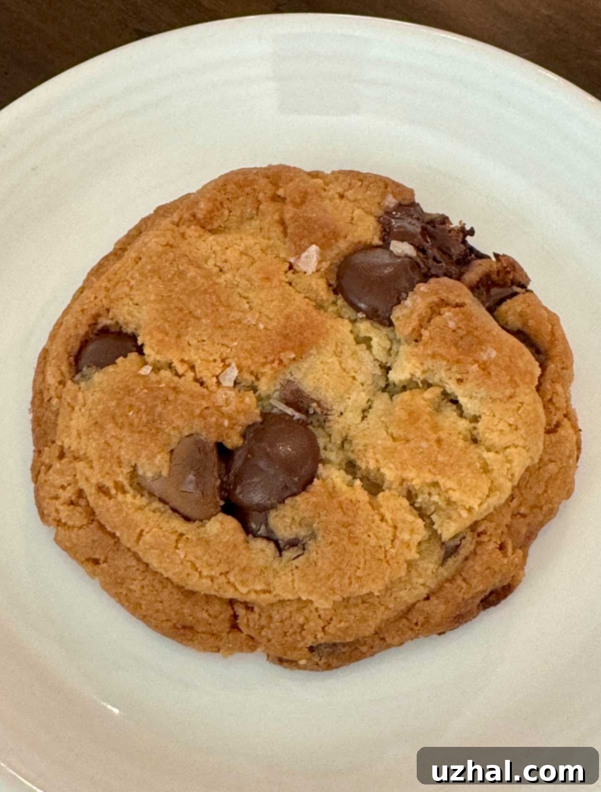 Cream of Tartar Chocolate Chip Cookies with perfect crinkles and chocolate chips