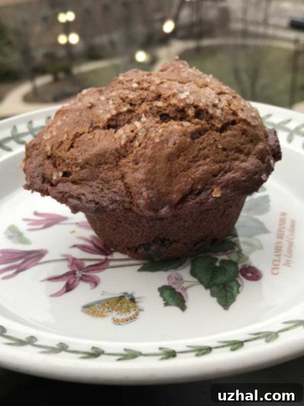 Warm and spiced homemade gingerbread muffins, perfect for a cozy treat