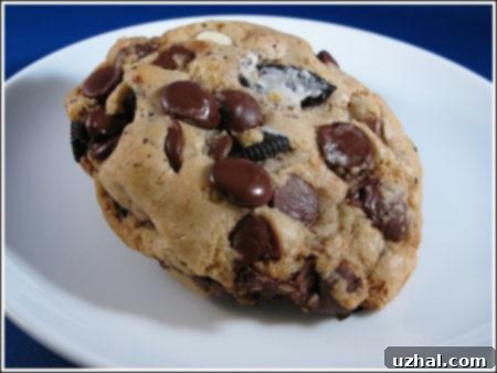 Thick, golden-brown chocolate chunk cookie dough, ready for baking, showcasing its dense texture and visible chocolate pieces.