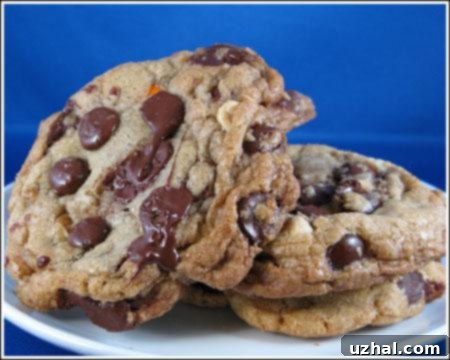 A close-up of giant chocolate chunk cookie dough log, ready to be sliced, revealing a rich tapestry of chocolate and other mix-ins.