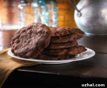 Delicious Double Chocolate Cookies from Ted's Montana Grill, fresh out of the oven