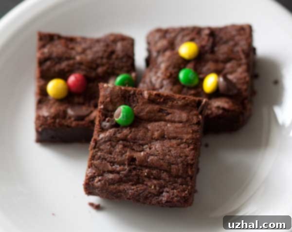 Irresistibly Fudgy Loaf Pan Brownies