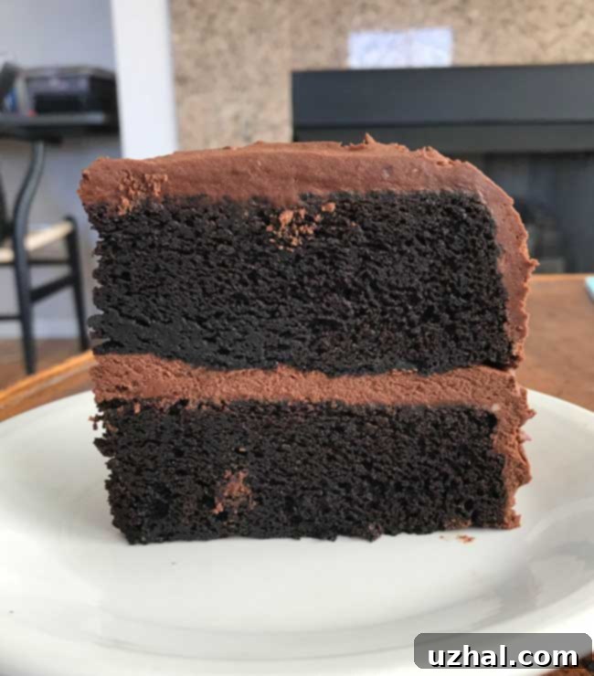 Guinness Chocolate Cake - A Rich and Moist Dessert, perfect for any occasion.