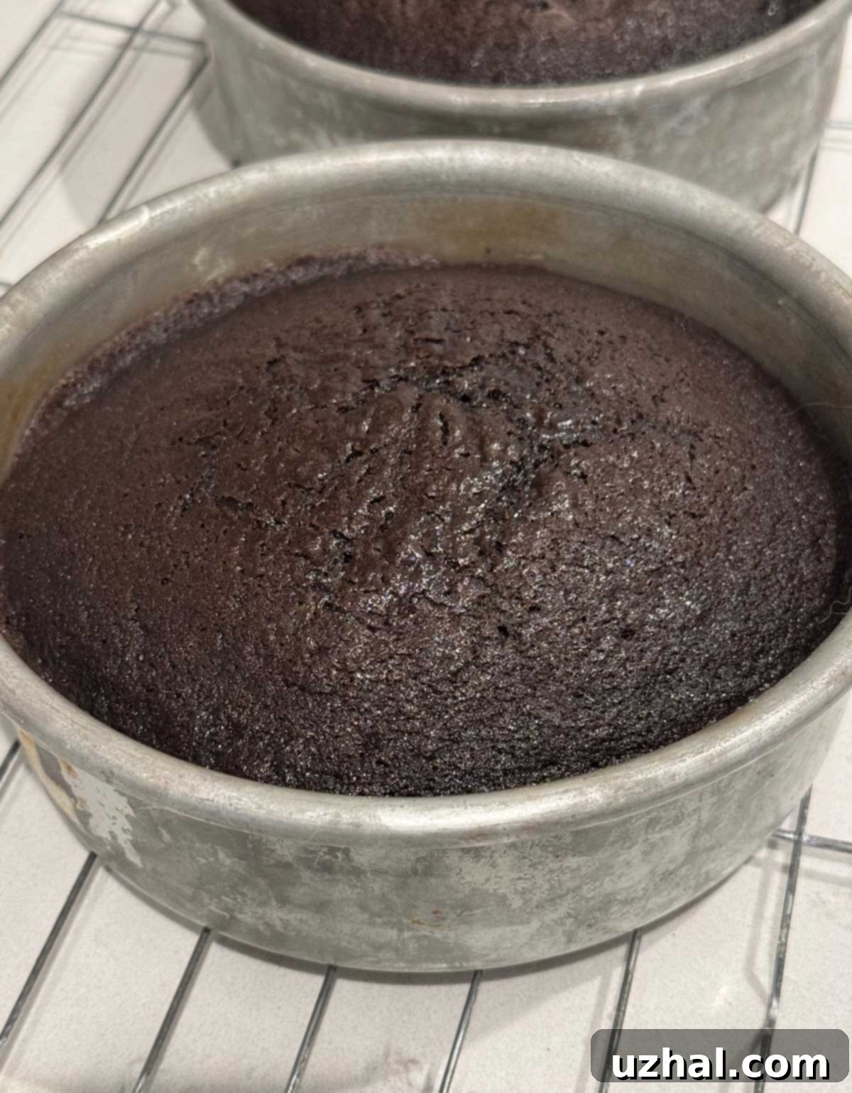 Delicious 6-inch Chocolate Guinness Layer Cake with rich frosting.