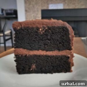 Chocolate Guinness Layer Cake - Recipe Image