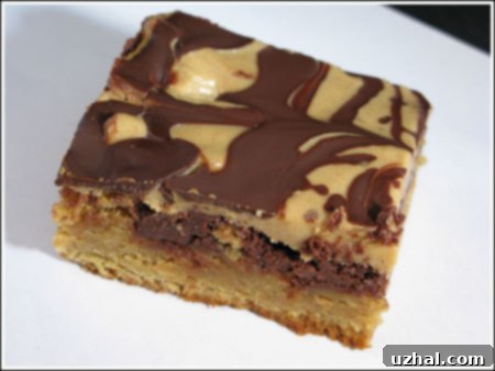 Marbled Peanut Butter Brownie