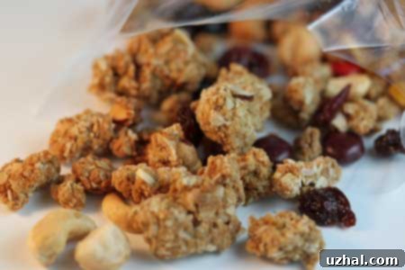 Homemade Peanut Butter Cookie Granola with chocolate candies and dried fruit.