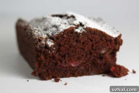 Cherry Chocolate Cake