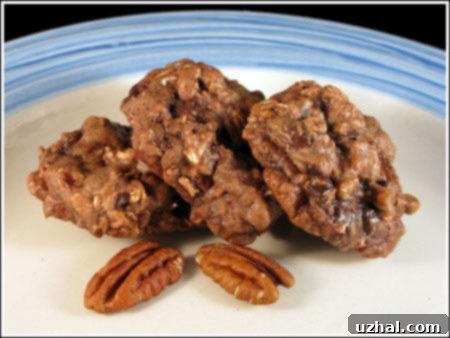 Delicious Choconut Chippers, soft double chocolate cookies with nuts and chocolate chips