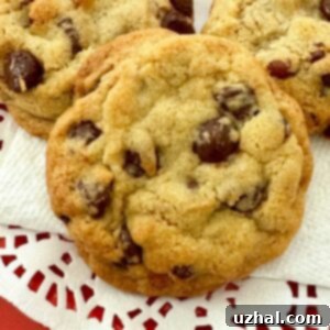 Vanilla Rich Chocolate Chip cookies, plated and ready to eat