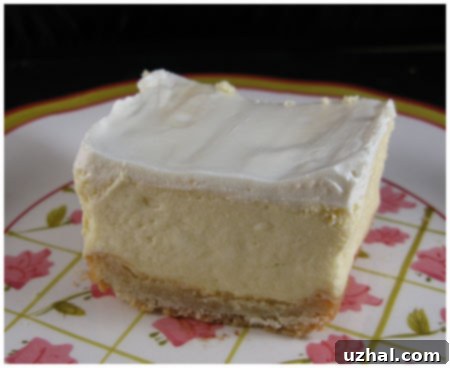 A slice of Cheesecake for Two, revealing its creamy texture