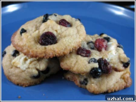 Red, White and Blueberry Cookies with a patriotic theme